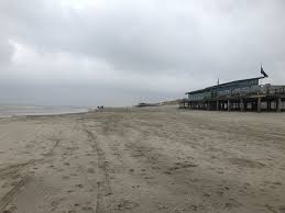 Hond Los Op Het Strand Van Callantsoog