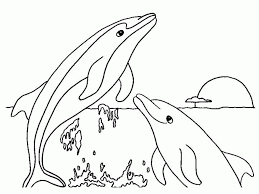 Identify 15 different creatures in these animal coloring sheets. Dolphin Images For Kids Coloring Home