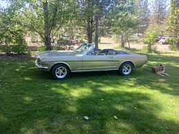 Image result for Honey Gold 1965 Mustang