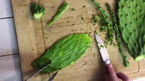 The thing you need to learn is how to pick and you should never handle a prickly pear with bare hands before cleaning it from glochids. How To Clean Opuntia Cactus Pads Prickly Pear Or Nopal For Eating Youtube