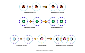 Learn About Bonding Science For Kids