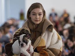 Real puppies for free along with the living word of the teacher are an important component of the educational process and an element of the educational and material base of any educational institution. Live Puppies Were The Real Stars Of Tod S Fall 2018 Collection Fashionista