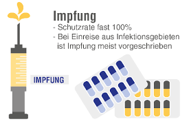 Dann solltest du dich dringend informieren, ob eine gelbfieberimpfung sinnvoll ist. Gelbfieber Tropeninstitut Impfung