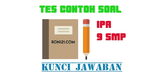 Dua kompetensi dasar yang diukur dalam akm ini adalah: View Contoh Soal Akm Smp Ipa Dunia Sosial