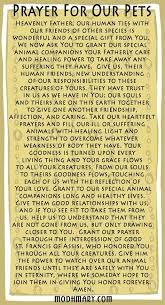 Maybe you would like to learn more about one of these? 12 Best Prayers For Sick Pets Ideas In 2021 Sick Pets Prayers Pets