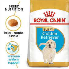 You'll find below all the articles written in the puppy category of this site. Royal Canin Breed Health Nutrition Golden Retriever Puppy Dry Dog Food 3kg Free Uk Delivery