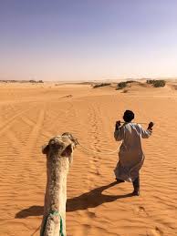 Midnight at the oasis, send your camel to bed. Facing Fear In The Sahara How A Camel Trek Helped Me Discover The Real Romance Of Travel By Team Hazard Rides Again The Ascent