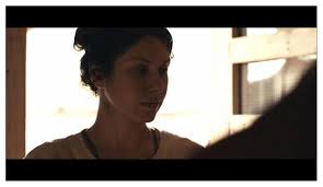 Supplements (Short 2019)