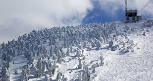 Image result for Hakkoda Walk