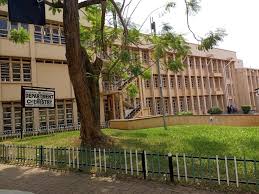 Image result for Spermacoce princeae