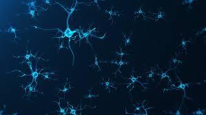 What is the purpose of a neuron? This Sensor Lets Scientists See Neuron Level Brain Activity In Real Time