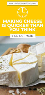 How To Make Cheese At Home Simple Recipe My Fermented Foods Recipe In 2020 Recipes How To Make Cheese Fermented Foods