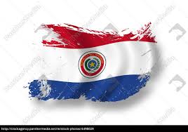 Sie können hier ein anderes kennwort festlegen. Flag Of Paraguay Stockfoto 4498029 Bildagentur Panthermedia