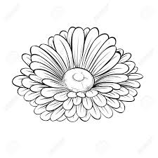 Black And White Daisy Flower Tattoo Stock Vector In 2020 Aster Flower Tattoos Gerbera Daisy Tattoo Daisy Drawing