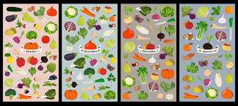 Fruits Et Legumes De Saison Fruits Et Legumes De Saison Dessin Fruits Fruits Et Legumes