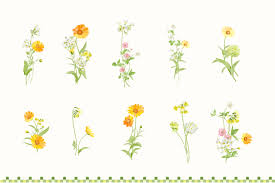 192 Wildflowers Clip Art Clip Art Wild Flowers Bunch Of Flowers