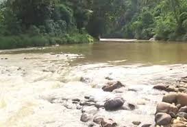 Gambar pencemaran alam sekitar satyaram2126 via satyaram2126.wordpress.com. Pencemaran Sungai Ribuan Bangkai Ikan Ditemui Terapung Di Sungai Ketil Carigold Forum