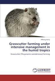 Grasscutter Farming Under Intensive Management In The Humid Tropics Grasscutter Thryonomis Swinderianus Farming Henry Affiong 9783659337826 Amazon Com Books
