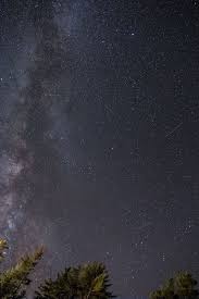 Cielo estrellado, estrellas, brillo, noche, árboles, fondo de pantalla hd noche estrellada. Noche Estrellada 1080p 2k 4k 5k Hd Wallpapers Free Download Wallpaper Flare