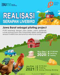 Understand cost down process, experience in. Pt Ppi Persero On Twitter Jawa Barat Menjadi Piloting Project Ppipersero Dalam Serapan Livebird Ppi Bersinergi Dengan Para Pelaku Usaha Peternak Rumah Potong Ayam Dan Transporter Dalam Peningkatan Serapan Livebird Dan Pemenuhan