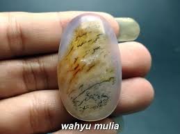 Kaos tshirt baju combed 30s distro persija macan kemayoran 1928: Batu Akik Gambar Kulit Harimau Macan Asli Kode 824 Wahyu Mulia Batu Akik Kulit Gambar