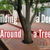 Overview for how to build a tree bench. 1