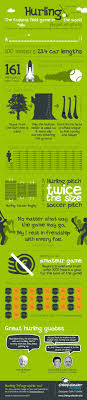 The Basics Of Hurling This Game Is My Life Proud To Be Irish Irish Life Hurling Irish Gaelic