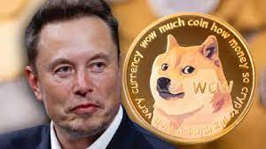 Elon Musk apoya a DOGE para los pagos de Tesla — Dice 'Dogecoin a la Luna'  - Bitcoin News