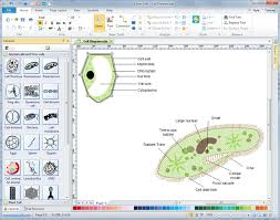 Sadly, once you get stuck, it can be hard to get started again,. Cells Diagrams Free Download Cells Diagram Software