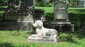 We did not find results for: Guide To Pet Cemeteries In Florida Wftv