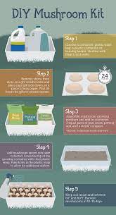 Yes, this will work, but some mushrooms are easier than others. Growing Mushrooms At Home Fix Com