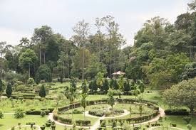 All about the taman botani negara shah alam, often called bukit cerakah, or taman pertanian malaysia. Taman Pertanian Shah Alam Life S Like This