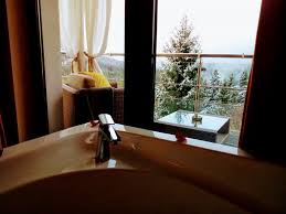 Camera Olive Double Deluxe Cu Baldachin Si Jacuzzi Pentru 2 Persoane Pe Terasa Camerei Sau In Interiorul Camerei Langa Fereastra Si Pat Hoteluri Predeal Mythos Luxury Rooms Hoteluri