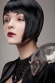 Want To Be A Photographer's Assistant?; Here's How To Get Started Page 2