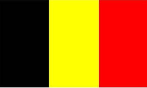 Zwart een jaar later (1831) werden de drie kleuren opgenomen in de belgische grondwet. Vlag Belgie Belgische Vlag Dicks Dumpstore