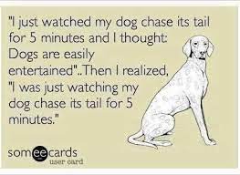 Pin By Jen Beck On Love My Dogs Funny Commercials Bones Funny Funny Quotes