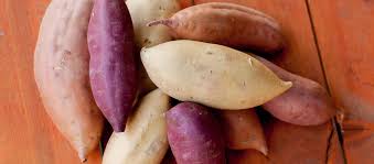 First, inspect your sweet potatoes for any bad spots or signs of damage. Sweet Potatoes Aren T Yams The Land Connection