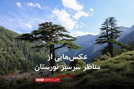 نورستان از جمله اولین ولایاتی است که در ١۲ میزان ١۳۵۷علیه رژیم پوشالی خلق و پرچم بدون آنکه مکروب های تنظیمی به آن سرایت کند قیام کرد. Bbc News ÙØ§Ø±Ø³ÛŒ On Twitter Ø¢Ø®Ø±ÛŒÙ† Ø¨Ø§Ø±ÛŒ Ú©Ù‡ Ù†ÙˆØ±Ø³ØªØ§Ù† Ø¯Ø± Ø®Ø¨Ø±Ù‡Ø§ Ø¢Ù…Ø¯ Ø¯Ùˆ Ù‡ÙØªÙ‡ Ù¾ÛŒØ´ Ø¨ÙˆØ¯ Ø²Ù…Ø§Ù†ÛŒ Ú©Ù‡ Ø§Ø¯Ø§Ø±Ù‡ Ø­ÙØ§Ø¸Øª Ø§Ø² Ù…Ø­ÛŒØ· Ø²ÛŒØ³Øª Ø§ÙØºØ§Ù†Ø³ØªØ§Ù† Ø§Ø¹Ù„Ø§Ù… Ú©Ø±Ø¯ Ú©Ù‡ Ø¬Ù†Ú¯Ù„ Ù‡Ø§ÛŒ Ù†ÙˆØ±Ø³ØªØ§Ù† Ø¯Ø± Ú©Ù†Ø§Ø± Ú†Ù†Ø¯