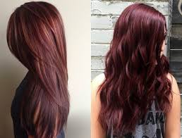 Mahogany Hair Colour Chart Lajoshrich Com