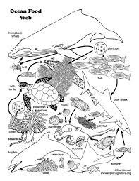 Aboriginal kangaroo coloring page | free printable coloring pages. Food Chain Coloring Sheets Coloring Pages Food Chain Coloring Page Coloring Pages Collection Template Ocean Food Web Food Web Food Web Activities