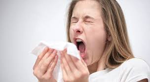 A Sneeze Comes Out Of Your Nose At 100 Miles Per Hour It Can Lead To Serious Problems If You Hold Your Sneeze In T Best Foods For Colds Common Cold Allergies