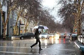 Schmidt, affectionately known as howie. Rain High Winds Hit Bay Area Over The Weekend News Palo Alto Online