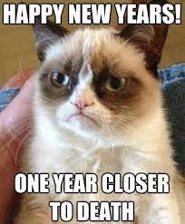 Happy New Year Funny I Love When They Drop The Ball In Times Square It S A Nice Reminder Of What I Grumpy Cat Quotes Funny Grumpy Cat Memes Grumpy Cat Humor
