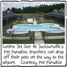 1,732 likes · 44 talking about this · 361 were here. Pin By Fido Friendly On Dog Spaw Pet Paradise Dogs Of The World Dog Hotel