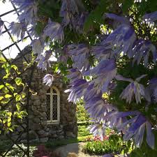 The Bagatelle Round Top Garden Arch Galvanised Powder Coated Steel In 2020 Clematis Classic Garden Clematis Varieties
