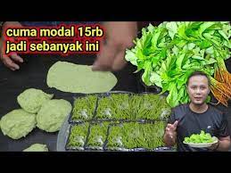 Ide Bisnis Lagi Nih Buat Sekarang Cuma Modal 15rb Jadi Banyak Banget Youtube Di 2020 Makanan Cemilan Ide Bisnis