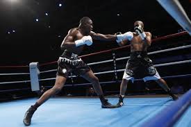 Alege acum modelul potrivit de boxe portabile. Les Sports De Combat De Nouveau Autorises L Equipe