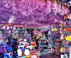 Best Ceiling Ever Amsterdam Flower Market Travel Amsterdam Netherlands Ams Bloem Netherlands Travel Amsterdam Flower Market Travel Channel