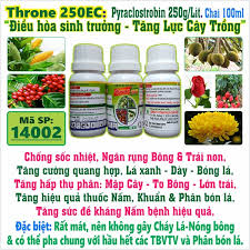 Throne 250EC