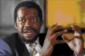 Much good work by MPs this year has been spoilt by the sex, lying and  stealing scandals that have rocked parliament, writes Waghied Misbach